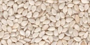 Sesame Seeds
