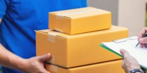 Domestic Courier Services