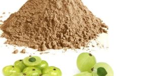 Amla Powder