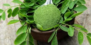 Moringa Leaf Powder