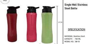 Stainless Steel Water Bottle