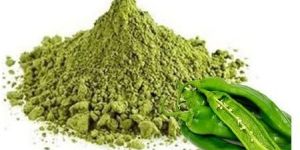 Dehydrated Green Chilli Powder