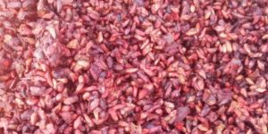 Dried Pomegranate Seeds