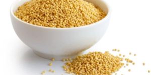 Foxtail Millet Seeds