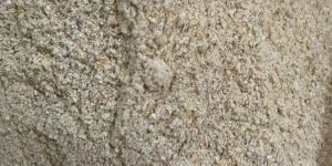 Maize Bran