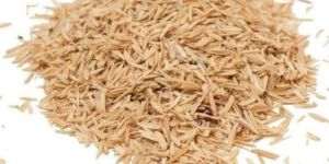 Wheat Husk