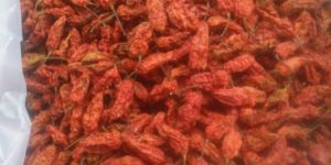 Bhut Jolokia Chilli