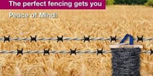 Hi Tensile Barbed Wire