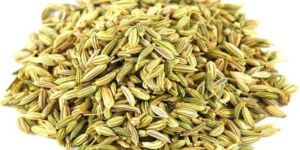 Fennel Seeds