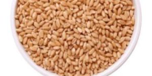 Wheat