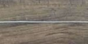 URS Bugbee Electrode