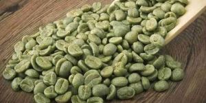 Raw Coffee Beans