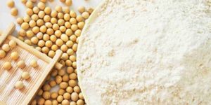 Soybean Protein Concentrate