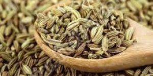 Fennel Seeds