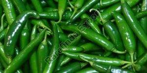 Fresh Green Chilli