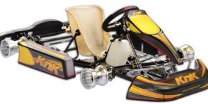 Juvenile Go Kart
