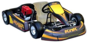 Prodigy Go Kart