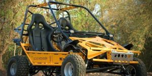 Sidewinder SR-II Go Cart