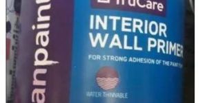 Asian Paints Interior Wall Primer