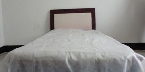 Disposable Bed Sheet