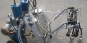 Milking Machine