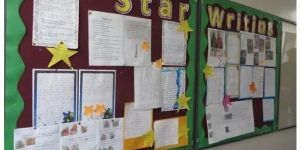 Display Pin Board