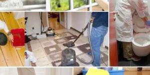 Domestic Housekeeping Services