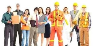 Labour Supply Services