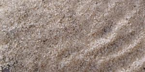 Broken Rice