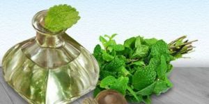 Mentha Piperita Oil