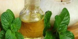 Natural Mint Terpene