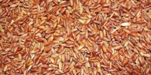 Kala Namak Rice