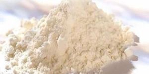 Whey Protein Concentrate Powder