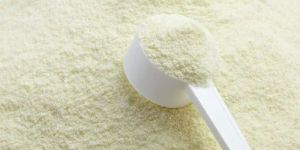 Whey Protein Concentrate Powder