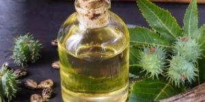 Castor Oil