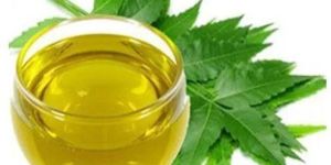 Neem Oil