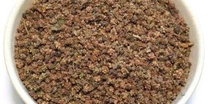 Beet Seed