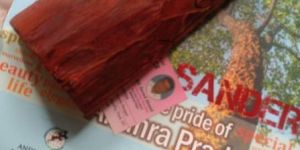 Grade a Class 1 Selected Red Sandalwood Logs