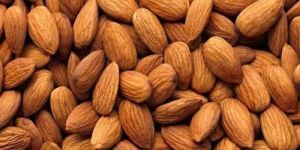Almond Nut