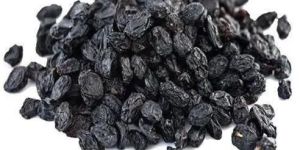 Dry Black Raisins