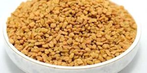 Fenugreek Seed