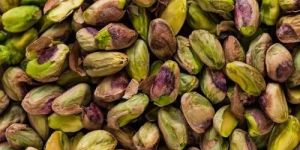 Pistachio