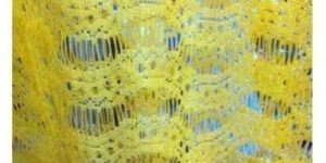 Fancy Net Dupatta