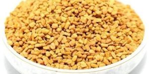 Fenugreek Seeds