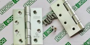 SS 304 Ball Bearing Hinge