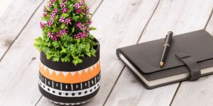 House Warming Gifting Planter for Home/Balcony Decoration