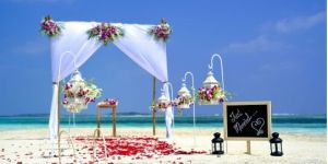 Birthday Party Decoration Service