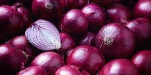 Onion