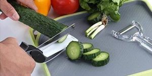 Plastic Vegetable Cutter