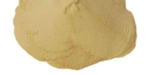 Buckwheat Protein Powder